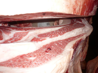 ͥ����1�ʡ�087��ƣ�׭�