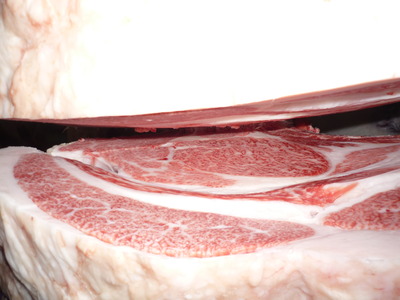 ͥ����5230�����˭�