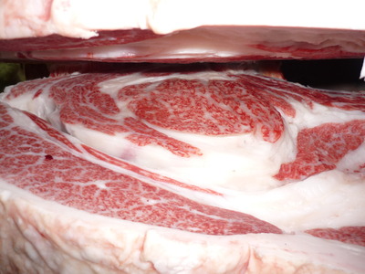 Í¥ÎɾÞ32ÅçÅÄÃé¾¼¡