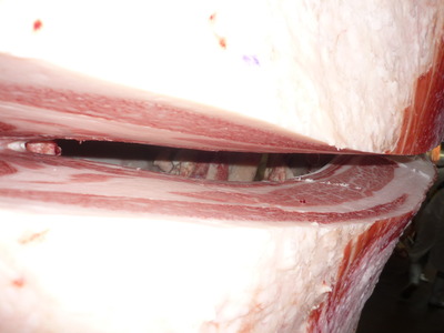 ̾���ޡ�15ߧ߷����