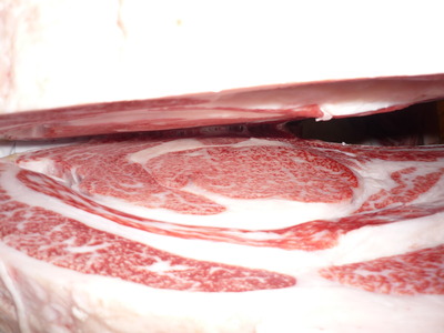 ͥ�ɾޡ�055��ƣ���ﭡ