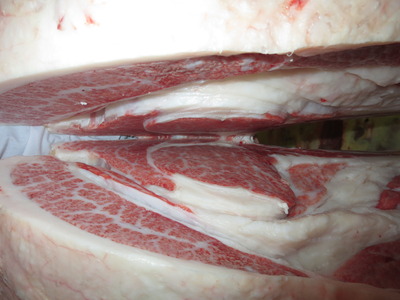 20201106.145���ĭ�