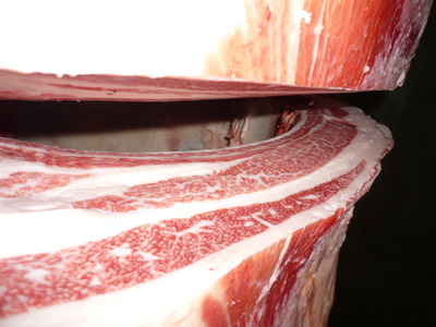 ͥ�ɾ�19ʿ���