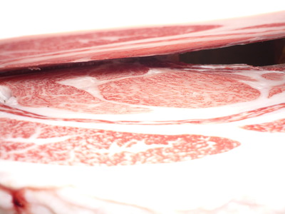 �����ޡ�74��¼����