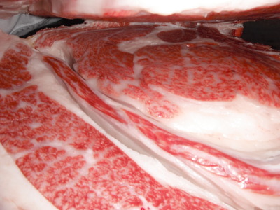 Í¥Îɾޡ¦Á°ÀîÃé¾¼¡