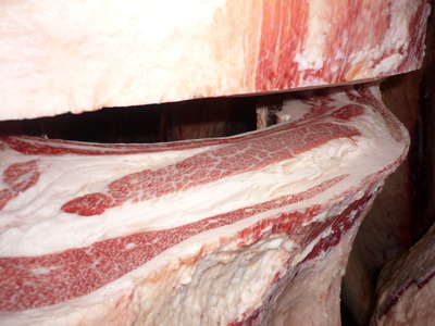 Í¥ÎɾÞ067°ñ¾ëÄ®ËÒ¾ì¢