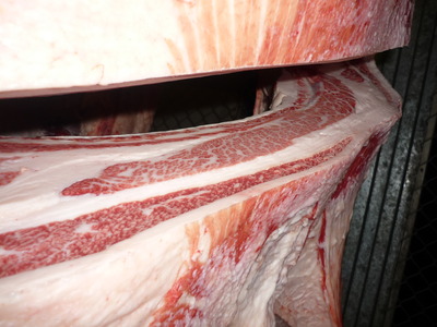 Í¥ÎɾÞ120º´Æ£¹¨Ìï¢