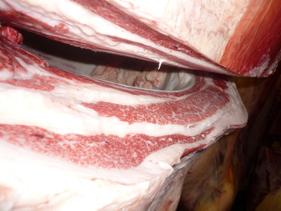 Í¥Îɾޡ¡137¾å»ÎËÚÄ®ÇÀ¶¨Èî°é¥»¥ó¥¿¡¼¢