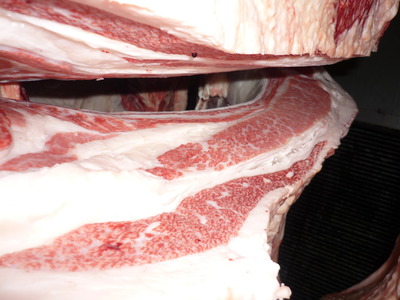 Í¥Îɾޡ¡087½ÂÂôÀ¿¢