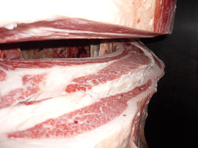 ºÇÍ¥½¨¾Þ22²ÃÆ£ËÒ¾ì¢