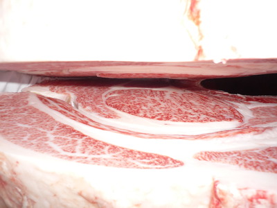 Í¥½¨¾Þ£²ÀÊ34¹âÍü±É°ì¡