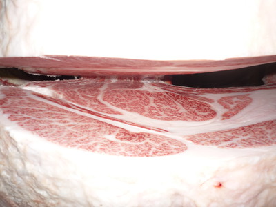 Í¥½¨¾Þ¡¡087¸ÅÂôϽա