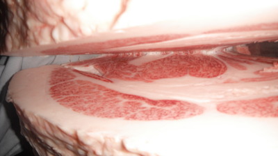 095��ƣ��ʿ(ͥ�ɾ�)��