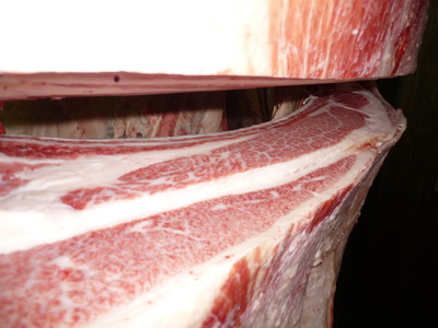 ͥ�ɾ�11���Ҥ�����