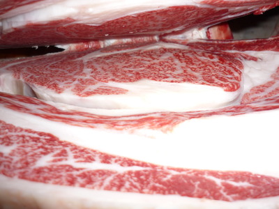 ͥ�ɾޡ�5005�����ɰ쭡