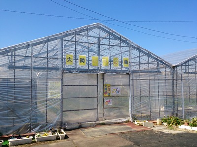 f4176b53.jpg