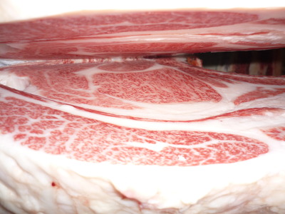 ͥ���ޡ�5471�������˭�