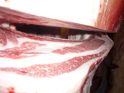 ͥ���ޣ��ʡ�124���ڭ�