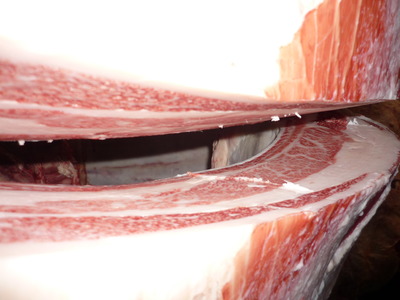 ̾����5101���筢