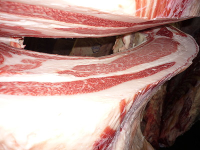 ͥ���ޣ��ʡ�06��ƣ��ɧ��