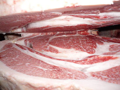 ºÇÍ¥½¨¾Þ¡¡065ºù°æÉð¡