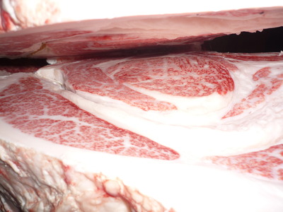 107����ƣ�Ҿ쭡