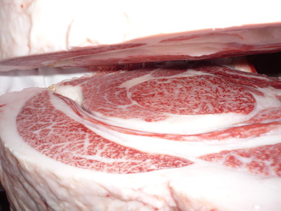 ͥ�ɾޡ�101�����龼��