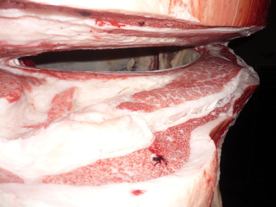 ͥ���ޣ��ʡ�28�������׭�