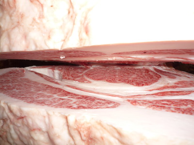 ͥ����5095��ã��