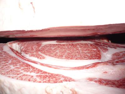 ͥ�ɾ�54��ƣ����