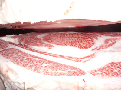 ͥ�ɾޡ�068���ľ���