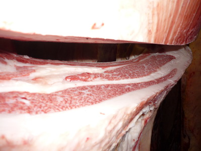 ͥ�ɾޡ�101�����龼��