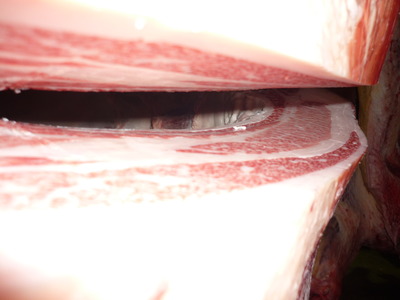 �򻨼��ͥ��