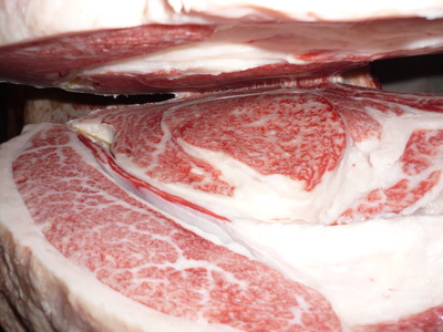 Í¥½¨¾Þ£±ÀÊ116·ª¸¶´´Éס