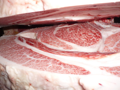 207�����ϢPF�����Ҿ쭡