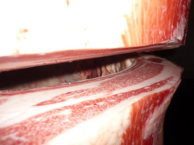 ͥ�ɾޣ���062(��)���Х�����