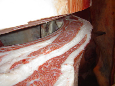 ̾����8ë��