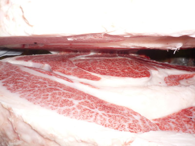 ͥ���ޡ�130�������­�