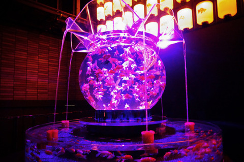 アートアクアリウム展へ行ってきました！