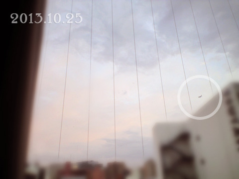 夕日と飛行機の写真