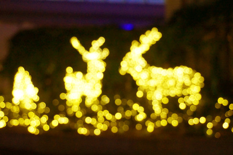 2014年最後の更新になります！