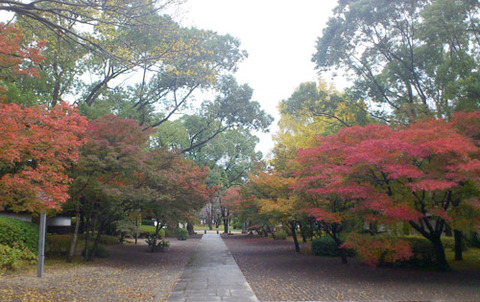 2012紅葉シーズン