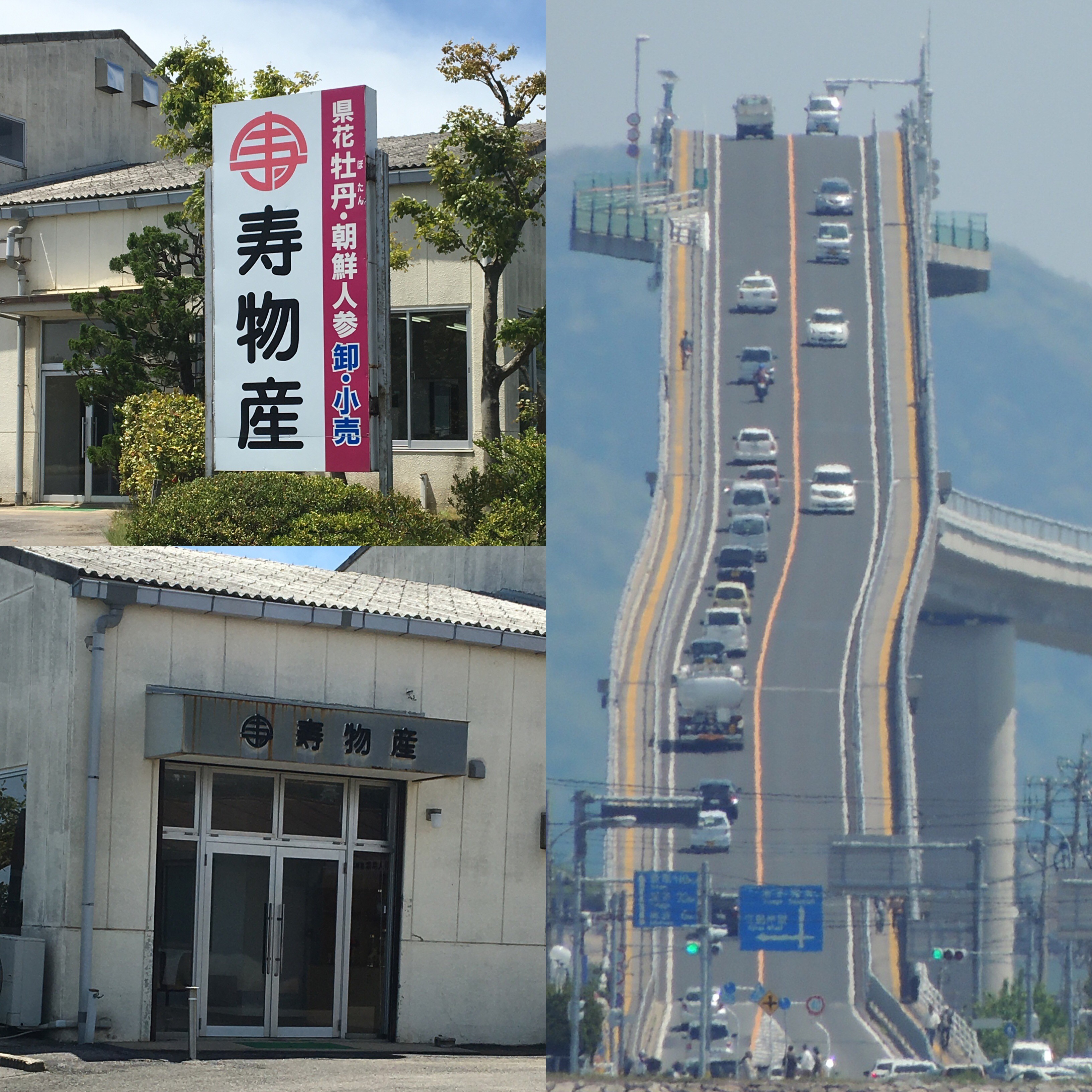 イメージ 2
