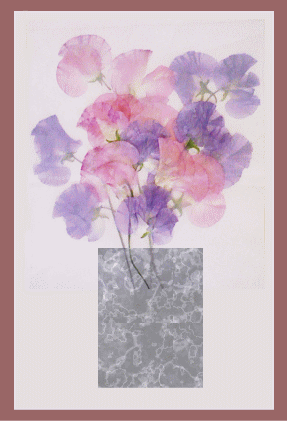 マル秘テクニック公開 四つ葉のクローバーな日々 押し花職人の制作日記