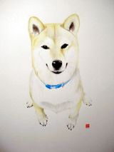 ���������Ԥ�