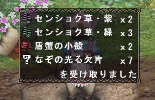 なぞの光る欠片 Mhf Z イブコレ