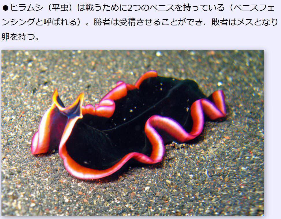 画像 ぺニスフェンシングで負けた方は種づけされる闇のスポーツが実在した xxニュース 画像 ぺニスフェンシングで負けた方は種づけされる闇のスポーツが実在した xxニュース