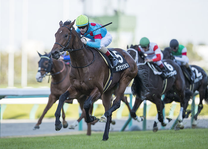 オブセッション シクラメン賞優勝 ユウの愛馬日記