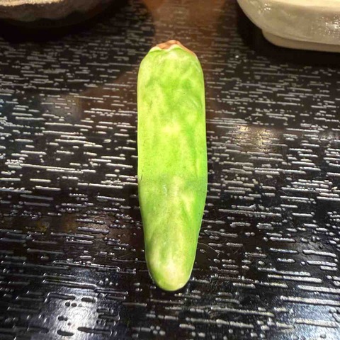 FullSizeRender