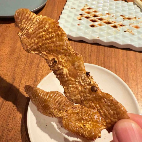 FullSizeRender